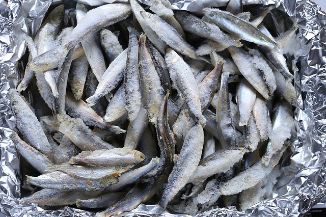 Frozen fish, a Cumbrian discovery