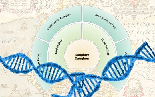 DNA testing plain and simple