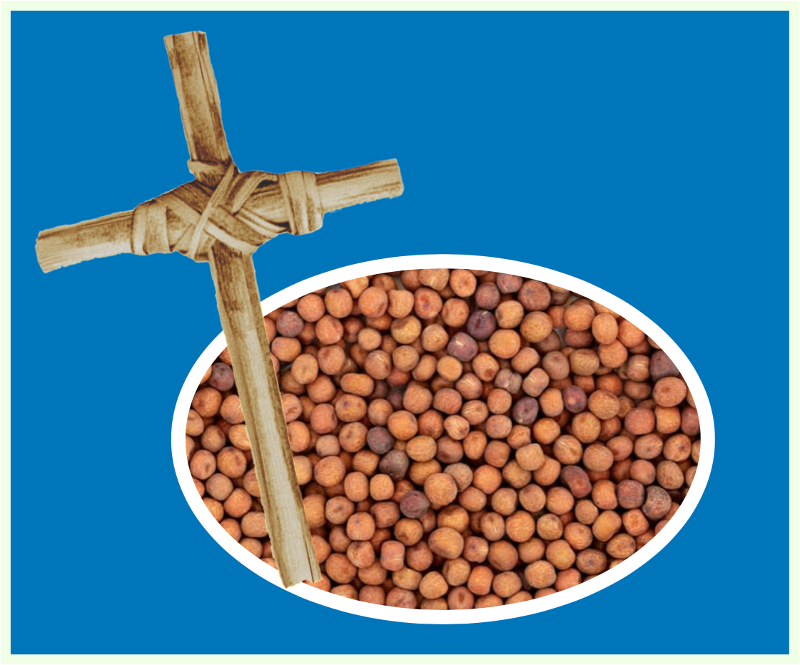 Palm Sunday & carlings