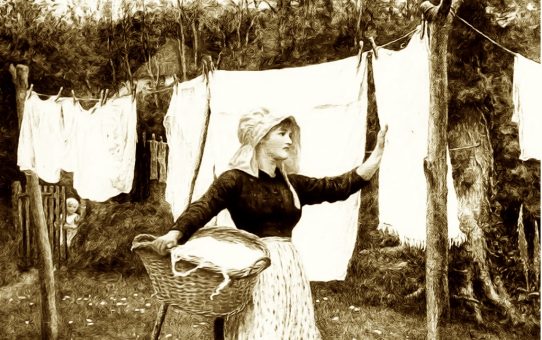 Spring cleaning tips 1880